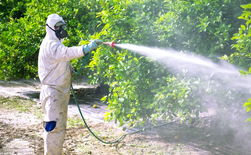 Fumigation Service in Davis County, UT