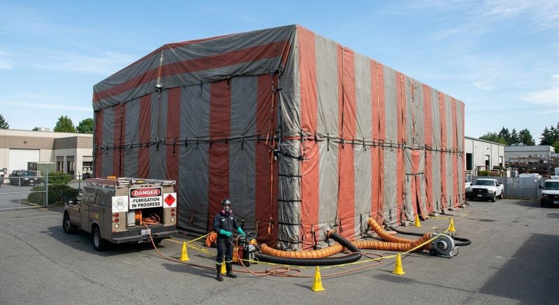 Commercial Fumigation in Columbus, OH