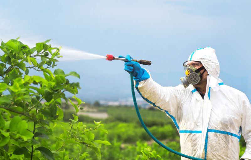 Commercial Fumigation in Woodbridge, VA