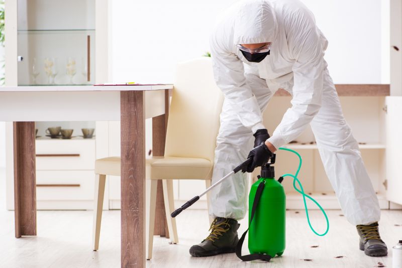 Outdoor Pest Control Service in Katy, TX