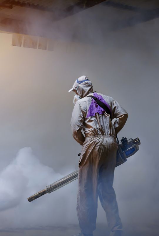 Rat Fumigation Service in Kalamazoo, MI
