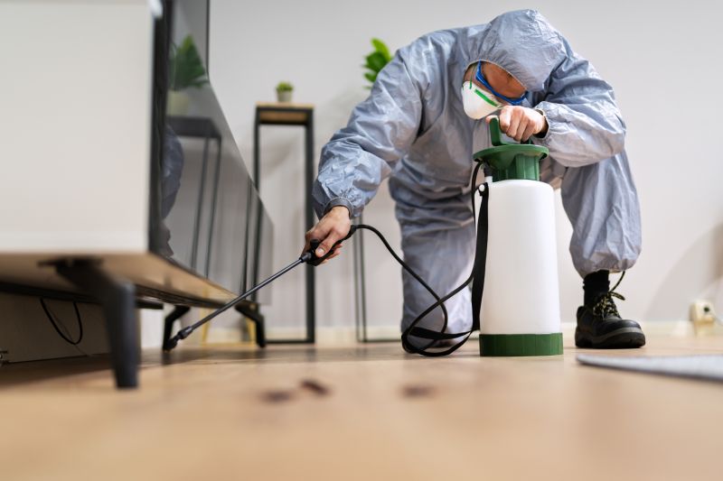 Roach Fumigation in Asheville, NC