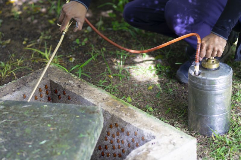 Spider Fumigation Service in Kalamazoo, MI