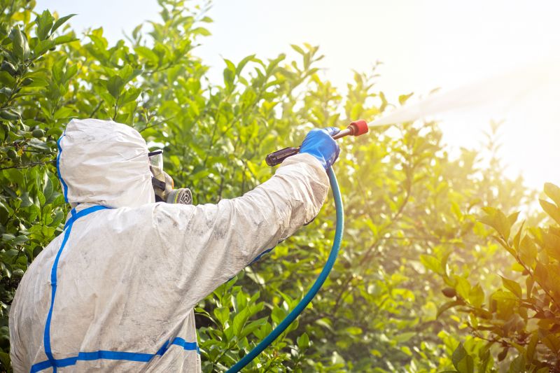 Spider Fumigation Service in West Palm Beach, FL