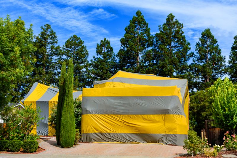 Termite Tenting in Kalamazoo, MI